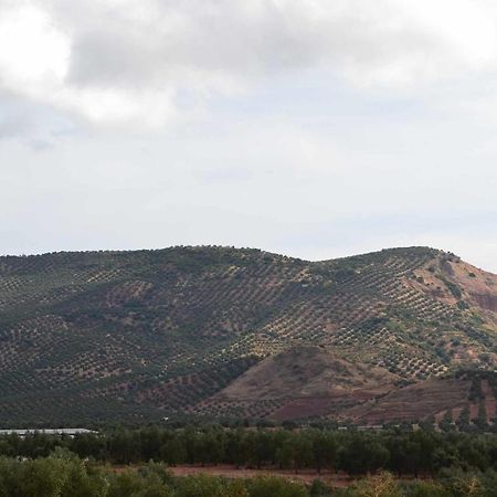 Finca El Vizconde Naturaleza Con Tus Hijos Arquillos 외부 사진