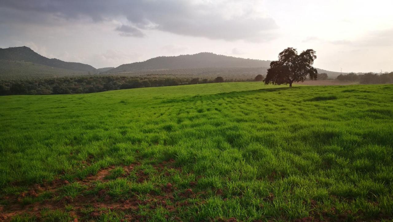 Finca El Vizconde Naturaleza Con Tus Hijos Arquillos 외부 사진