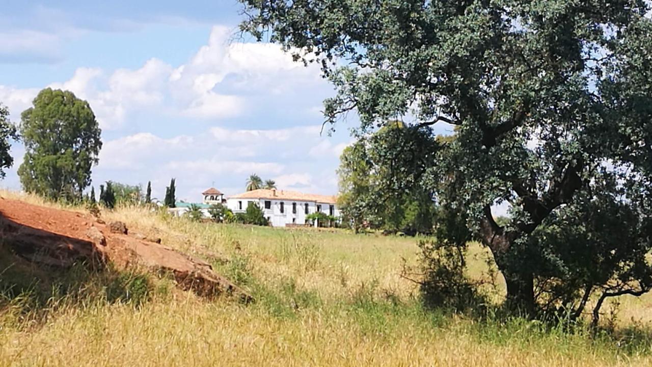Finca El Vizconde Naturaleza Con Tus Hijos Arquillos 외부 사진