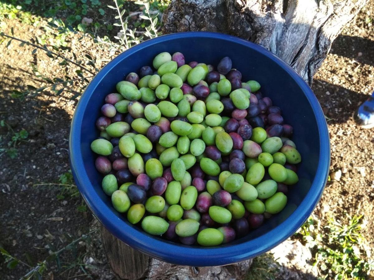 Finca El Vizconde Naturaleza Con Tus Hijos Arquillos 외부 사진