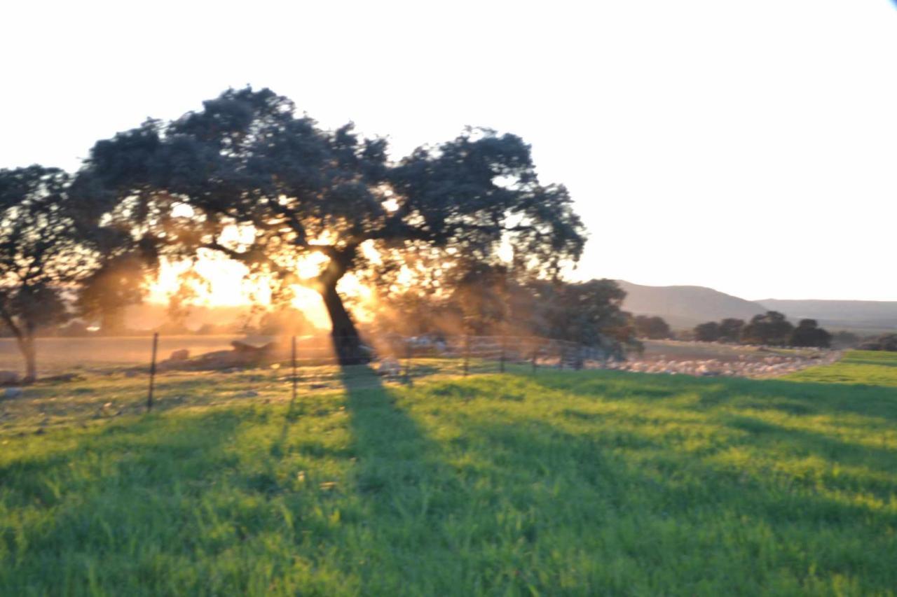 Finca El Vizconde Naturaleza Con Tus Hijos Arquillos 외부 사진