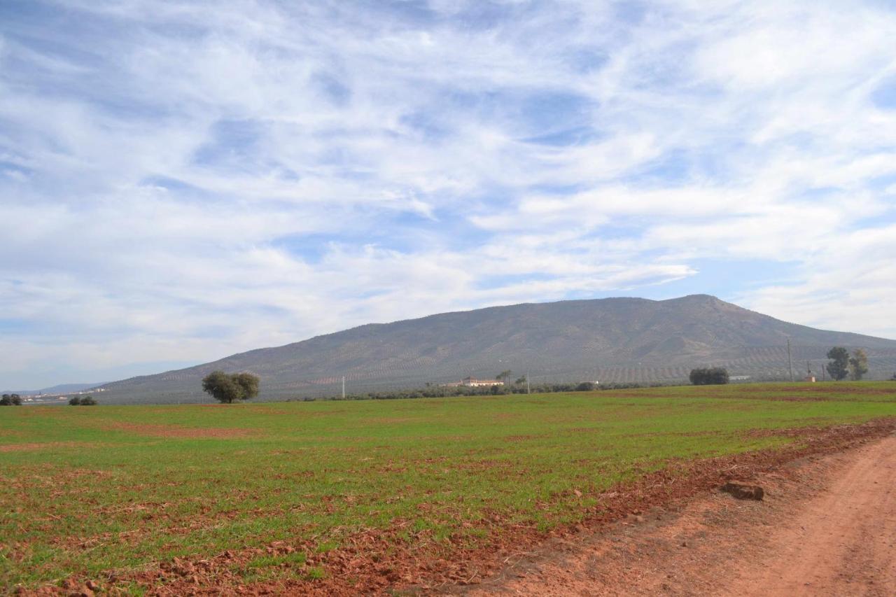 Finca El Vizconde Naturaleza Con Tus Hijos Arquillos 외부 사진