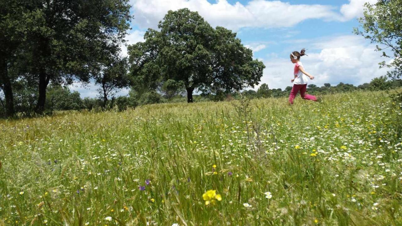 Finca El Vizconde Naturaleza Con Tus Hijos Arquillos 외부 사진