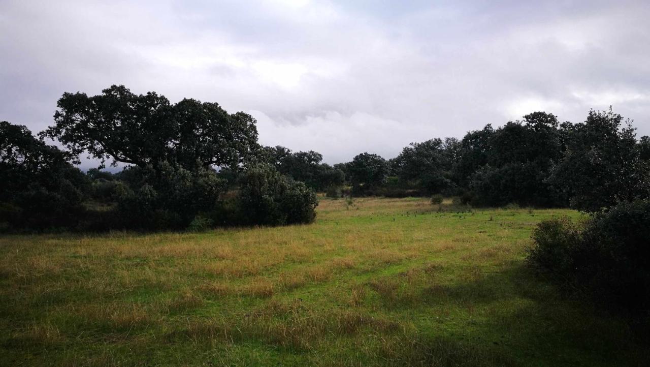 Finca El Vizconde Naturaleza Con Tus Hijos Arquillos 외부 사진
