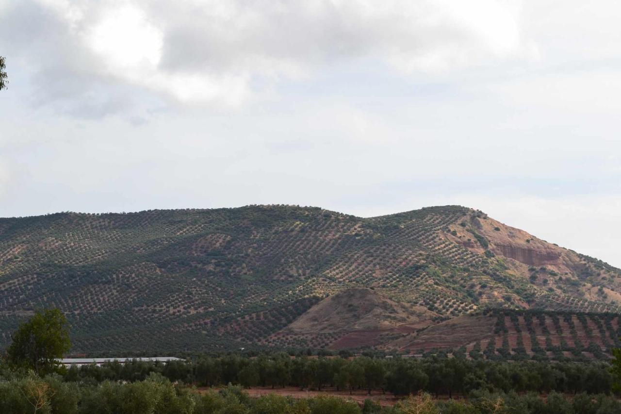 Finca El Vizconde Naturaleza Con Tus Hijos Arquillos 외부 사진