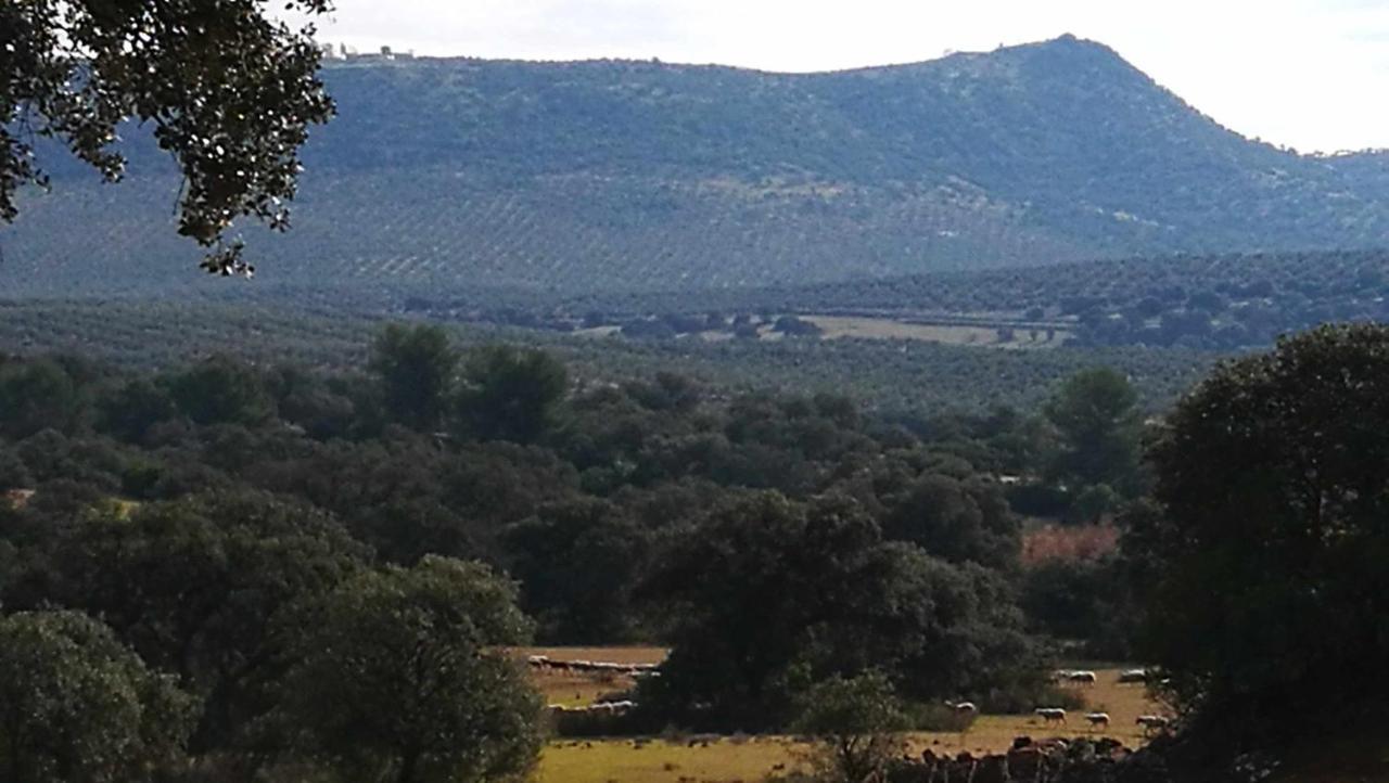 Finca El Vizconde Naturaleza Con Tus Hijos Arquillos 외부 사진