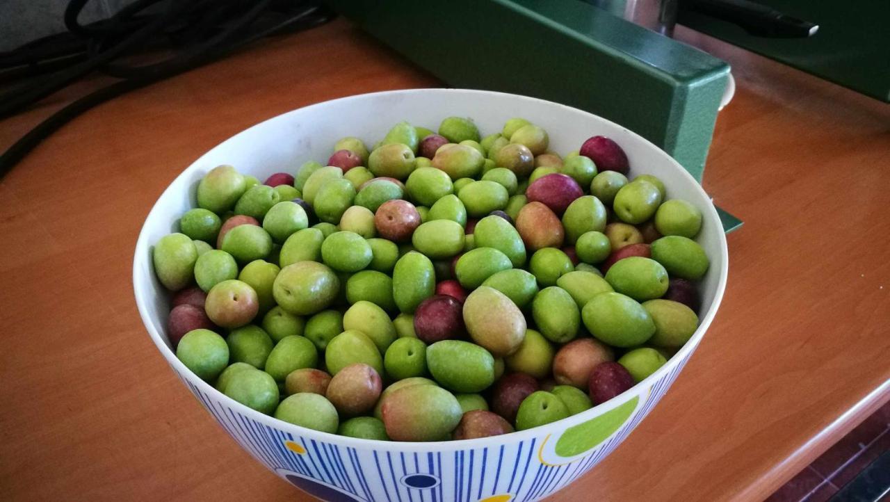 Finca El Vizconde Naturaleza Con Tus Hijos Arquillos 외부 사진