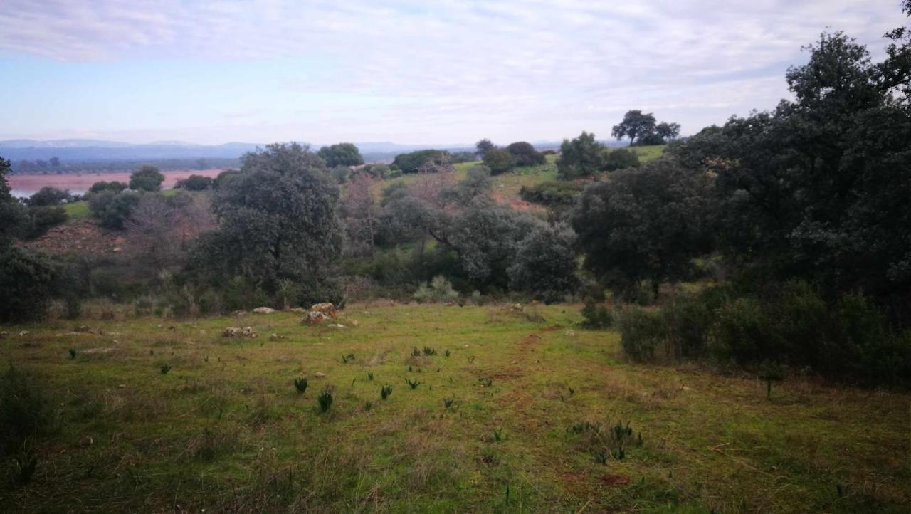 Finca El Vizconde Naturaleza Con Tus Hijos Arquillos 외부 사진