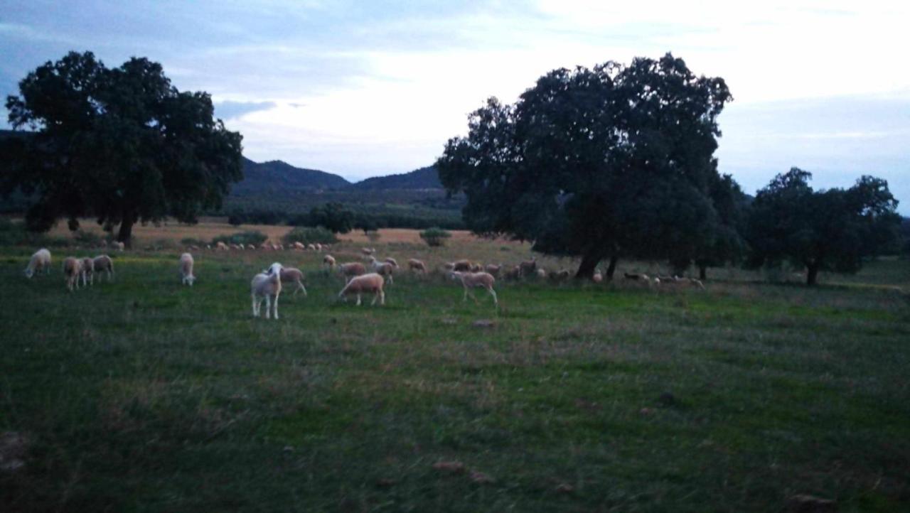 Finca El Vizconde Naturaleza Con Tus Hijos Arquillos 외부 사진