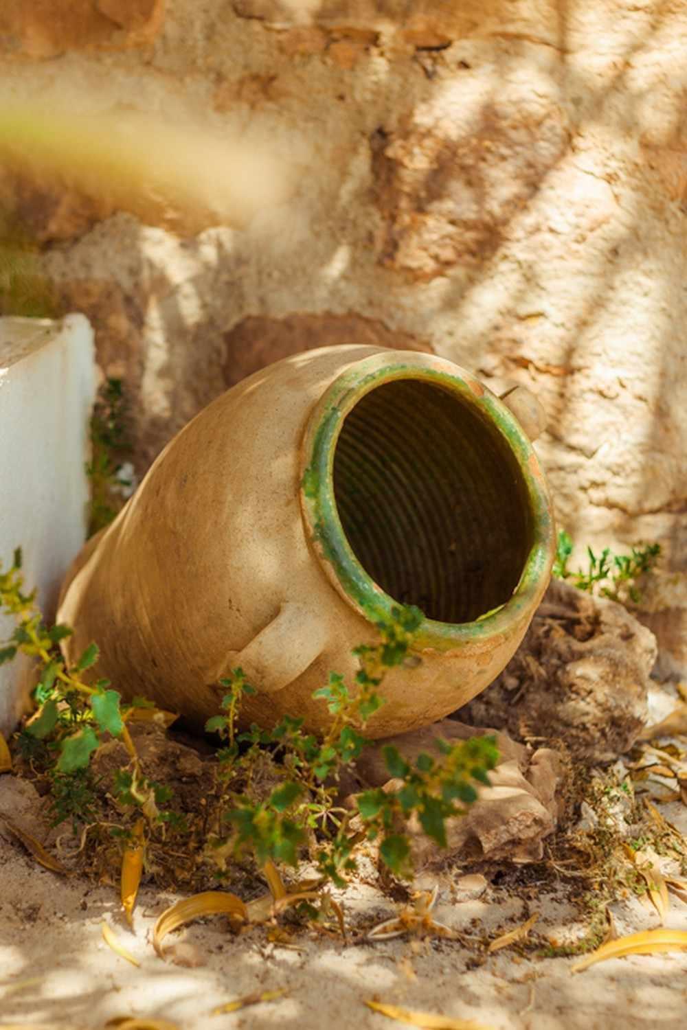 Finca El Vizconde Naturaleza Con Tus Hijos Arquillos 외부 사진